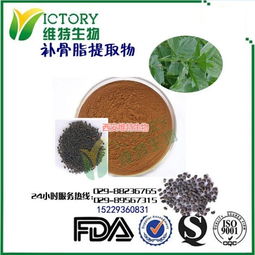 补骨脂提取物价格,西安维特生物科技,补骨脂提取物