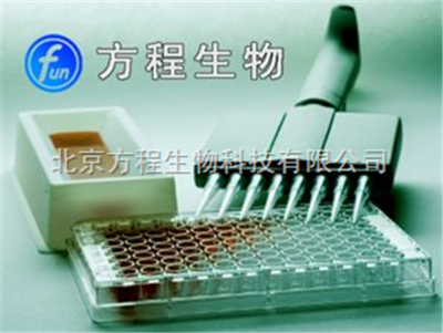 人α半乳糖基抗体(Gal)ELISA检测试剂盒价格 北京