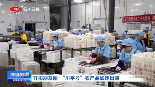 开拓朋友圈 川字号 农产品加速出海