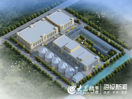 双塔食品生物健康科技产业园正式开工建设