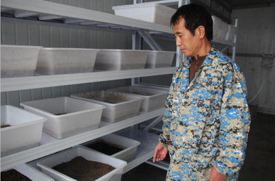 参访康惠益佳生物科技“乳酸菌黑水虻”技术养殖基地(组图)