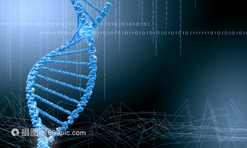 DNA分子高科技DNA分子的生物化学背景