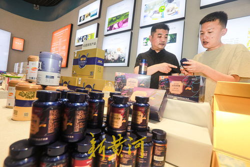足迹 大河奔流篇 一朵菏泽牡丹花的 跨界之旅