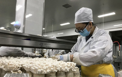 成都丰科生物科技开启“防疫泡泡”模式 保供生产两不误