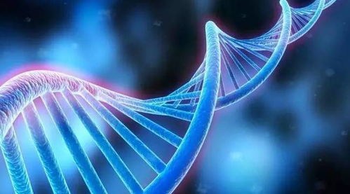 生物技术,诞生于65年前这一顿夜宵 科学史