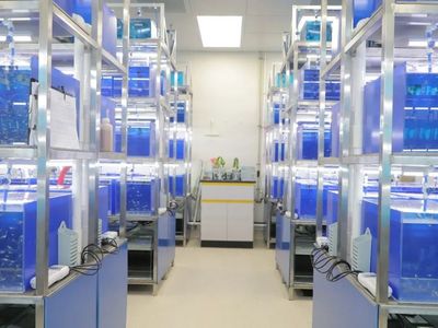 邀您共聚ICIF2021 | 领先生物科技打造好产品,成就好品牌